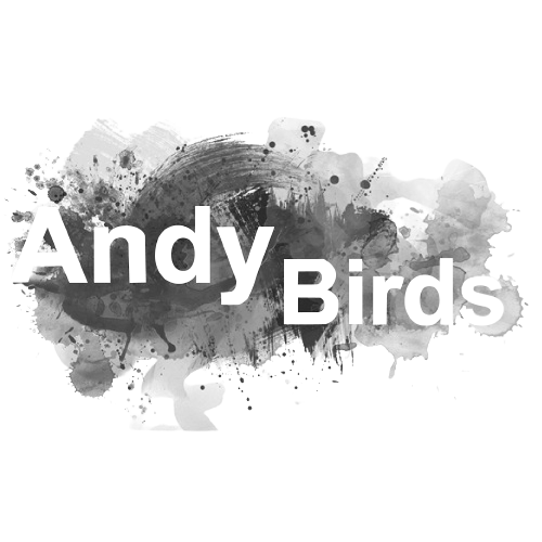 Andy Birds